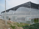 원예학 항쟁 햇빛 보호 80%를 얻는 야외 식물 보육 학교 HDPE 그늘