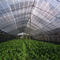 발코니 집 원예 식물을 위한 녹색 반대 Uv HDPE 태양 차광망