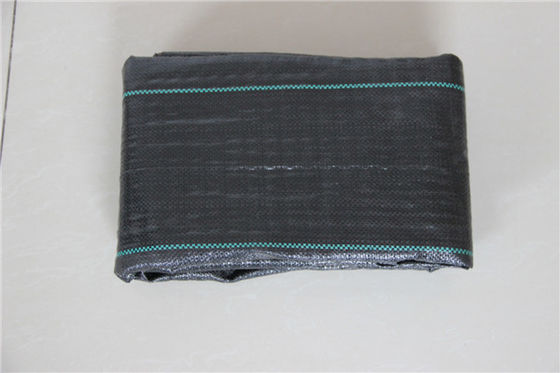 대형롤을 뿌옇게 하는 2 미터 과중한 업무 위드 제어