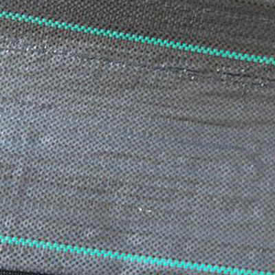 채소원을 위해 3x 50을 뿌옇게 하는 3m 넓은 풍경 공업적 등급 잡초