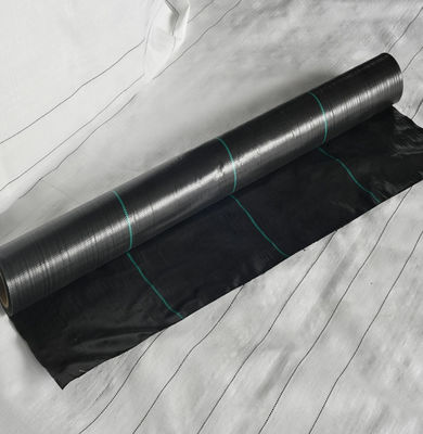 높이는 정원 베드 3.6m 하에 뿌옇게 하는 화단 Eco 우호적 잡초