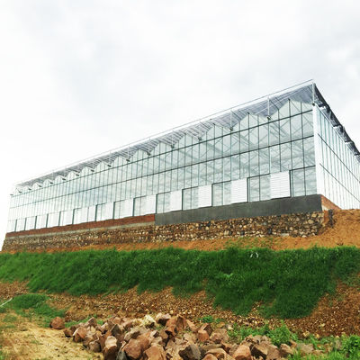 HDPE 구성 그늘을 얻는 95 바람막이 녹색 항쟁 그늘