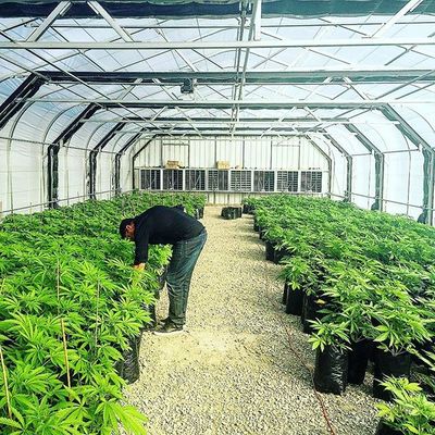 채소원을 위해 네트로 이루어지는 60% 옥외테라스 플라스틱 애그리 음영