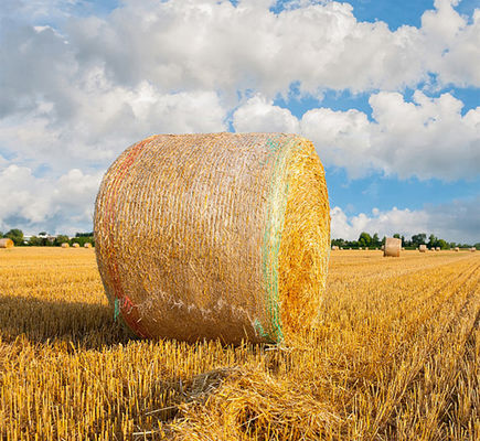 경보선과 8.33GSM Bale 순수한 랩 플라스틱 반대 UV